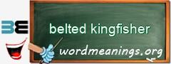 WordMeaning blackboard for belted kingfisher